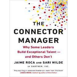 The Connector Manager