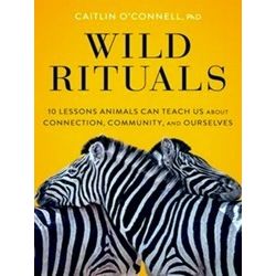 Wild Rituals