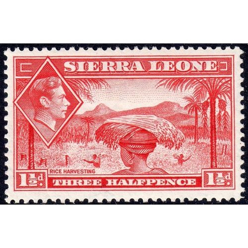 1938 SIERRA LEONE Sg190 1 1/2d Scarlet LIGHTLY M/MINT (G77)