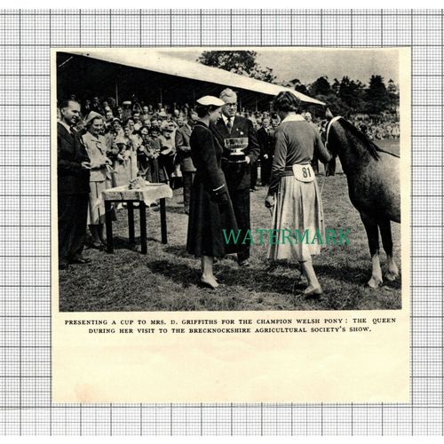 C3063) Brecknockshire Agricultural Soc Show Queen Mrs D Griffiths Pony 1955