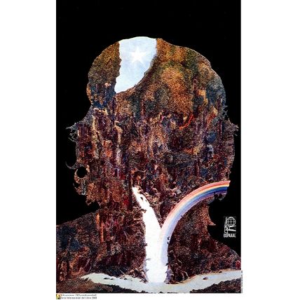 Political POSTER.Che Guevara Rainbow Falls Cuba.1.Revolution protest Art Design