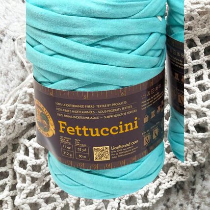 Lion Brand Fettuccini Yarn Bundle of 2 Aqua Blue 21.8oz Lot #60b