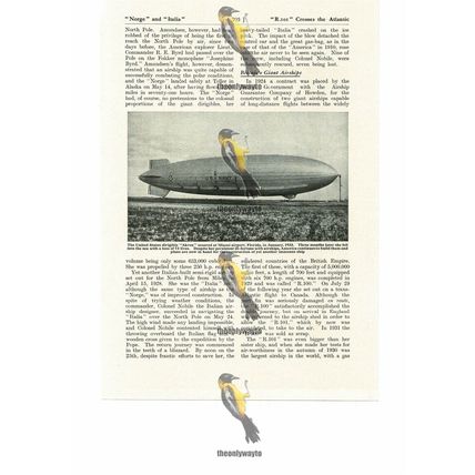 Akron Airship At Miami Airport, Before Her Loss, Book Illustration (Print), 1935