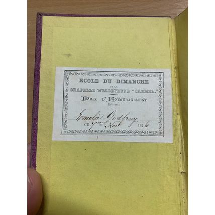 RARE* 1873 "GEORGES CLIFFORD" FRENCH TEXT ILLUSTRATED FICTION BOOK (P4)