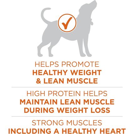 Purina ONE plus Healthy Weight High-Protein Dog Food Dry Formula - 40 Lb. Bag