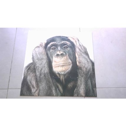 CREATURE by Andrew Zuckerman. Double-Sided Floor Puzzles 16 Large Piece Jigsaws