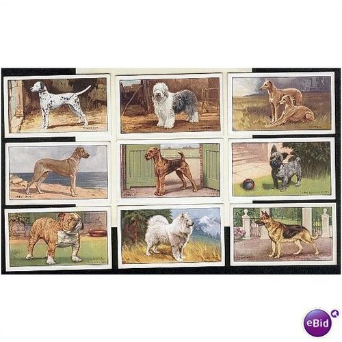 CIGARETTE CARDS. Gallaher Tobacco. DOGS 1st Series. (1936). (Set).