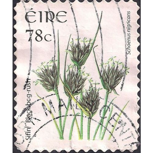 EIRE, FLOWERS, Black bog-rush (adhesive), white 2007, 78c