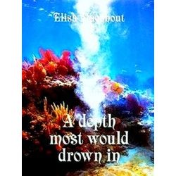 A Dept Most Would Drown In