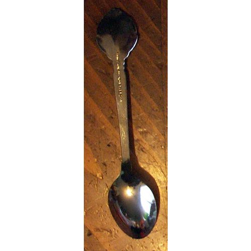 Spruce Grove Alberta Canada Souvenir Teaspoon Tea Spoon Wild Rose