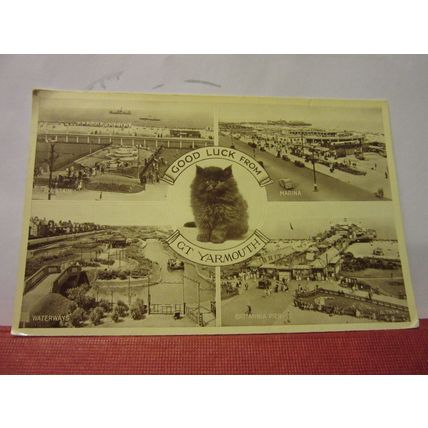 multiview, GREAT YARMOUTH, NORFOLK used vintage postcard 1955 pm kitten =