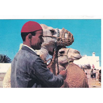 Djerba Chamelier Tunisia Postcard used 1973 creased
