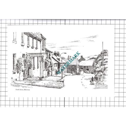 North Street Milverton Somerset - 1980's Cutting / Print