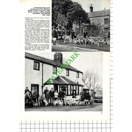 Mid-Essex Beagles Bill Knight Hornchurch Essex Dunford-Hawkins - 1968 Article