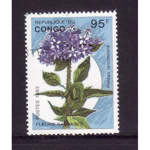 CONGO 1993 WILDFLOWERS SG1376 95F PENTAS LANCEOLATE FINE USED