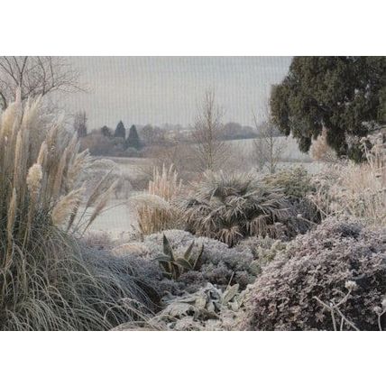 Hyde Hall RHS Gardens Rettenden Chelmsford Winter Postcard