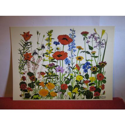 FLOWERS FROM MY GARDEN painting by Stina Sunesson Tallberg unused postcard #