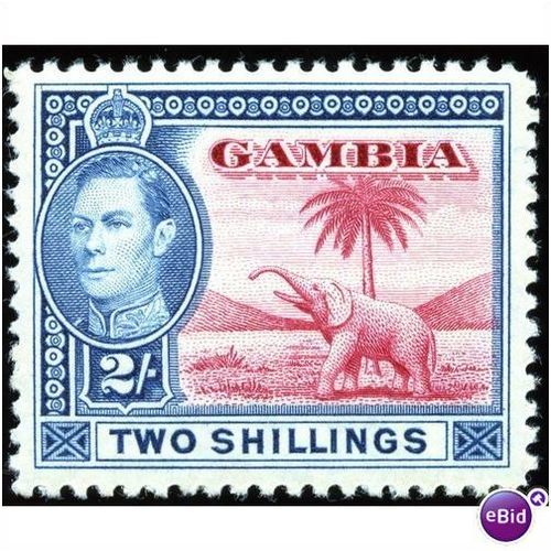 Gambia KGVI 1938 2/- 2s Carmine & Blue Mounted Mint MM SG 157 stamp elephant