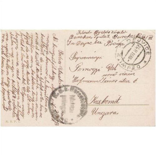 Fieldpost: Postcard: Dejwitz (Dejvice) Military Hospital (24th February 1916).