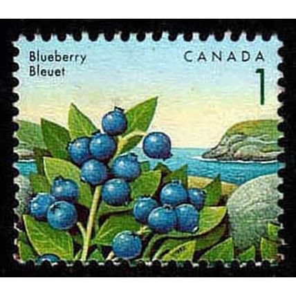 Canada 1992 Edible Fruit 1c Used Stamp.