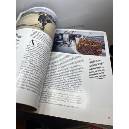 National Geographic Magazine June 1995 Quiet Miracles of the Brain Vintage b
