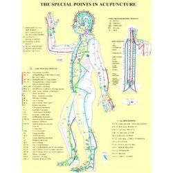Special Points In Acupunture - A4