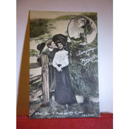 LANGUAGE OF FLOWERS, WHITE ROSE, ROMANCE unused antique postcard by J Welch. #