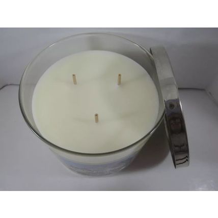 Bath & Body Works 3 wick 14.5 oz Candle Summer Boardwalk