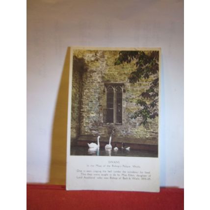 SWANS RINGING BELL, WELLS CATHEDRAL, SOMERSET unused vintage postcard H Barton =