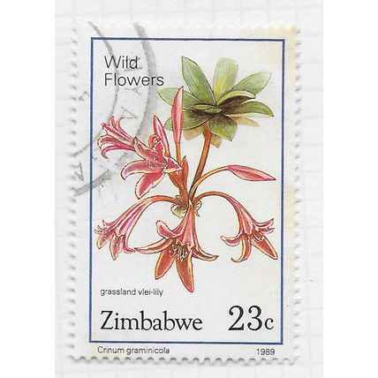 ZIMBABWE 1989 WILD FLOWERS GRASSLAND VLEI LILY 23c USED