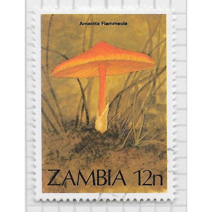 ZAMBIA 1984 MUSHROOM FUNGI AMANITA FLAMMEOLA ORNAGE EDIBLE FOOD 12n USED