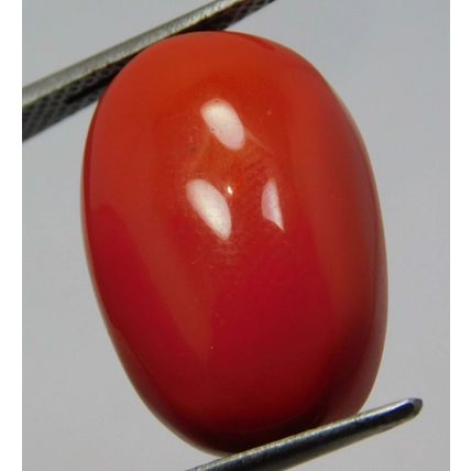 100% Natural 15.50 Ct Coral Oval Cut Rare Italian Loose Gemstone