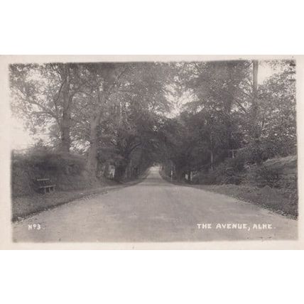 The Avenue Alne Yorkshire Easingwold Hambleton Region Antique Postcard