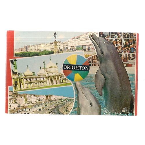 multiview, dolphins. BRIGHTON, SUSSEX used postcard 1982 stamp =
