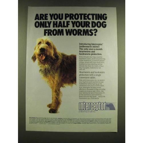 1990 Ciba-Geigy Interceptor Heartworm Medicine Ad - Are you protecting