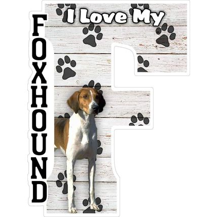 I Love My Foxhound Fridge Magnet