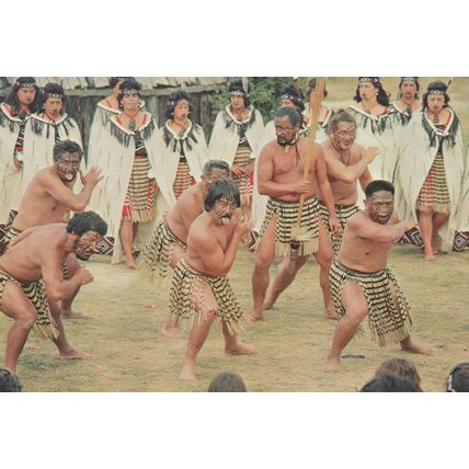 Rotorua Whakarewarewa Maori Warriors Haka Chant New Zealand Postcard