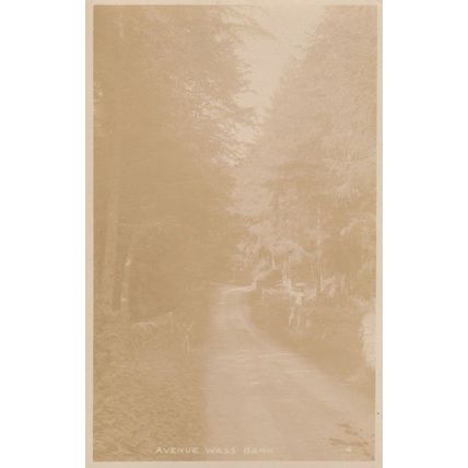 The Avenue Wass Bank Antique Yorkshire Real Photo Old Postcard