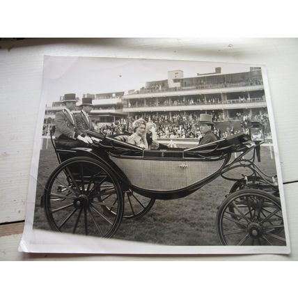 PRINCESS ALICE of GLOUCESTER AT THE RACES press release photograph royalty /