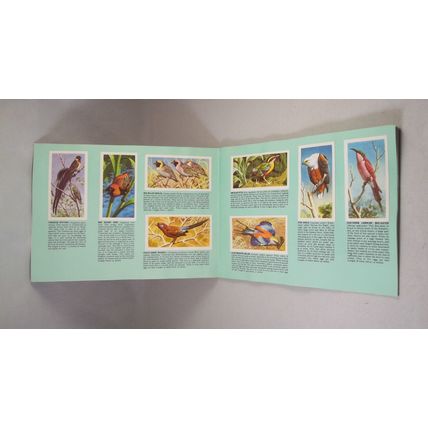 Brooke Bond Tea Card Album: 1974 Tropical Birds, Complete With All Cards