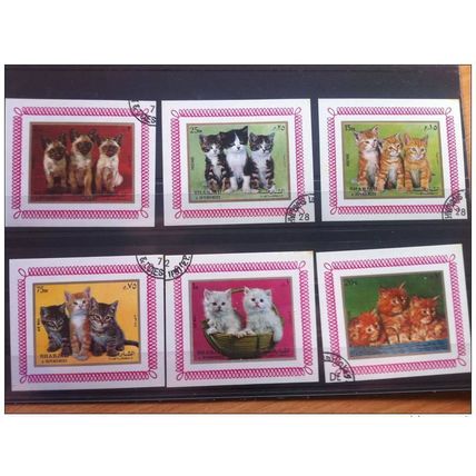 SHARJAH Serie 6 blocs feuillets CHATS CHAT CAT CATS KATZEN Oblitérés