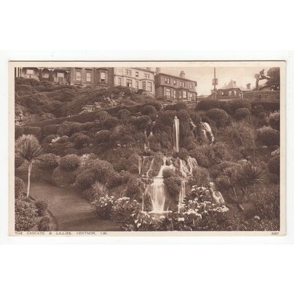 The Cascade & Lillies Ventnor Isle of Wight Postcard 3087