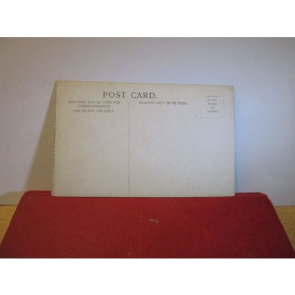 LINCOLN CATHEDRAL. unused antique postcard by Hildesheimer =