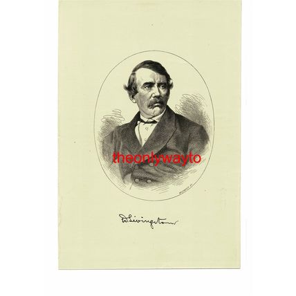 David Livingstone, Explorer & Missionary, Book Illustration (Print), 1875