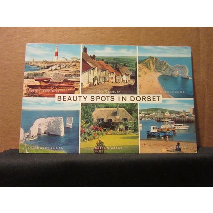 BEAUTY SPOTS OF DORSET county multiview used postcard by J. Salmon 1978 pm