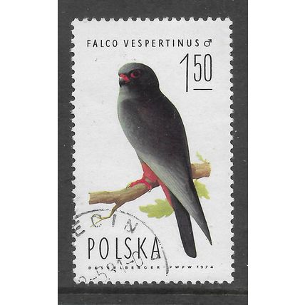 POLAND 1975 BIRD OF PREY 1Z.50 FEMALE WESTERN RED FOOT FALCON SG2344 FINE USED#3