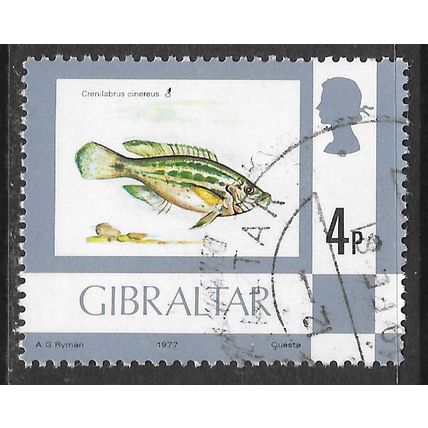 GIBRALTAR 1977 SEA LIFE FISH GREY WRASSE Crenilabrus cinereus 4p USED