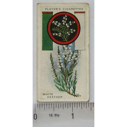 1933 Player's Boy Scout & Girl Guide Patrol Signs & Emblems No. 33 White Heather