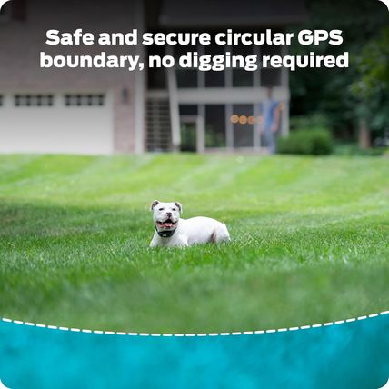 Premier Pet GPS Dog Fence Collar-Circular Wireless Boundary-NEW-SEALED-FAST SHIP