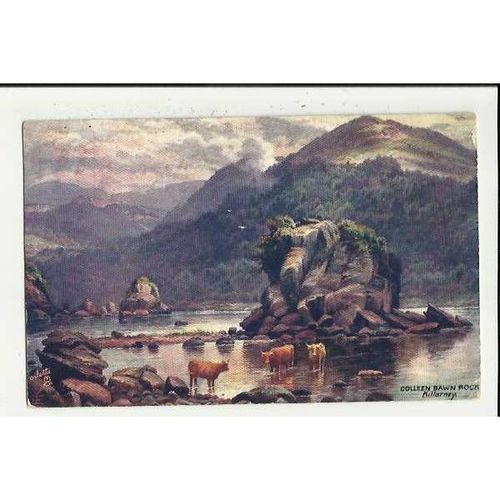 7283 Ireland KILLARNEY Colleen Bawn Rock Tuck Oilette Postcard